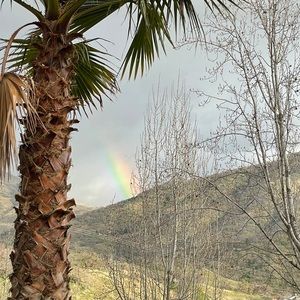 Meet your Posher, Lorie